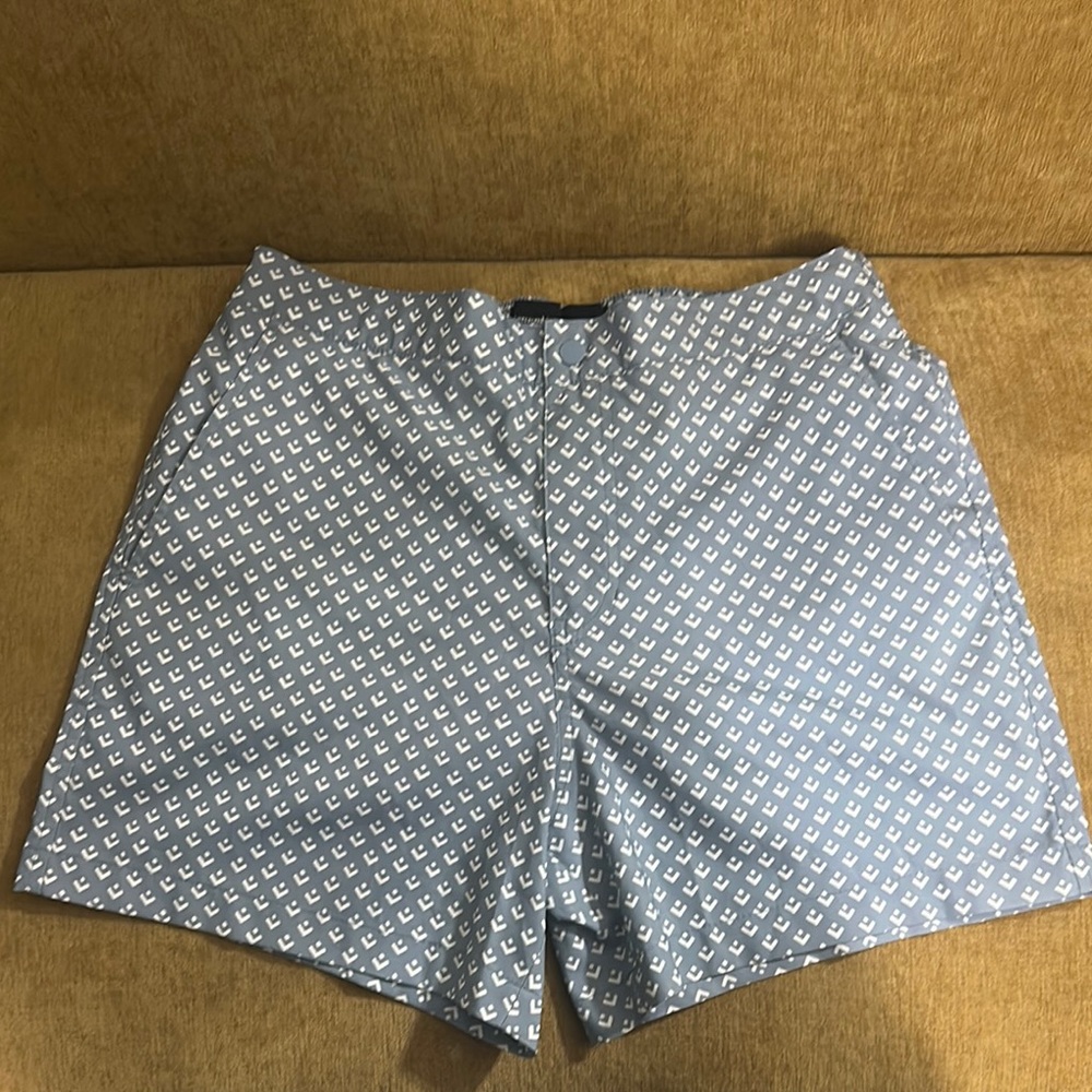 Abercrombie & Fitch Light Blue Geometric Shorts